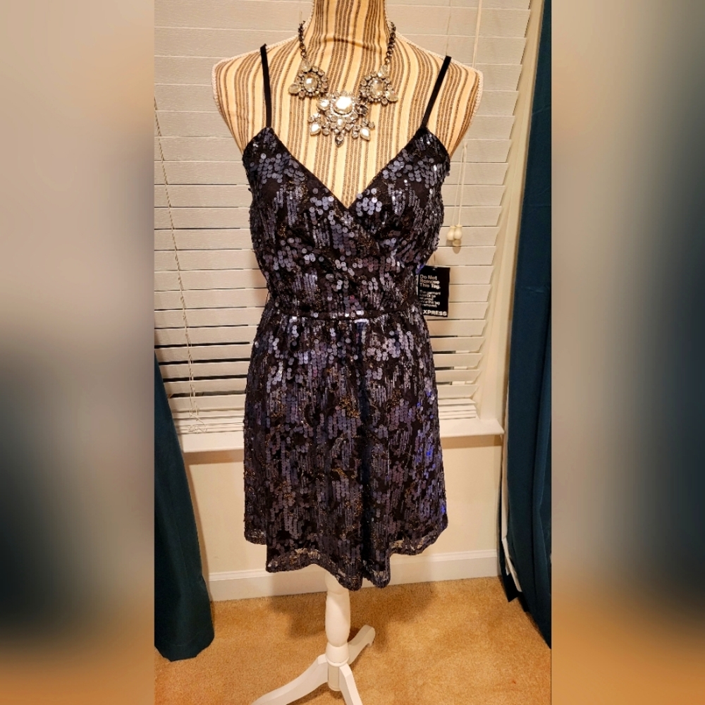 Express Sequin Dress